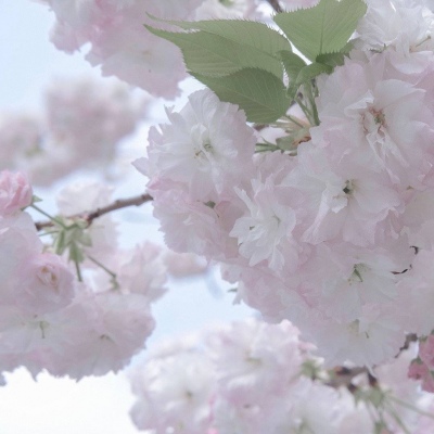 慈溪福瑞交流群